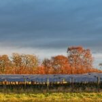 DNV reports that ‘substantial green prize’ lies ahead for UK as it decarbonises economy