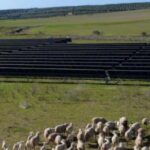 Fundici solar farm energised and commissioned in Spain