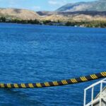 Hellenic Cables to supply inter-array cables for the BC-Wind offshore wind project