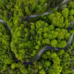 Some Clarification on a Reverse Stock Split