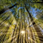 Protecting Shareholder Value – Why I am asking for a Yes Vote