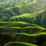 How European Shareholders Can Vote Their Plug Power Shares