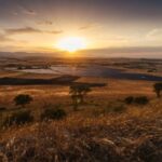 European Energy begins construction on Italy’s largest agrivoltaic project
