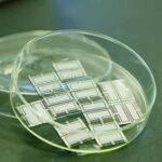 CAS Team Sets New Photoelectric Conversion Efficiency Record for Perovskite-Organic Tandem Solar Cells