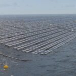 Fred. Olsen 1848 floating solar technology earns DNV verification